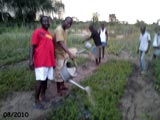 Au travail dans le jardin de l'école